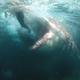 Big sharks? Must be The Meg.